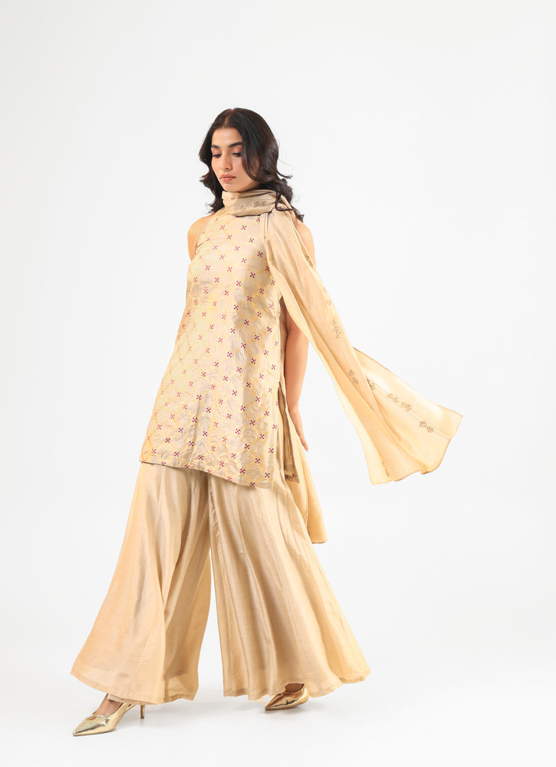 Beige Halter Banarasi Kurta Set with Embroidered Dupatta