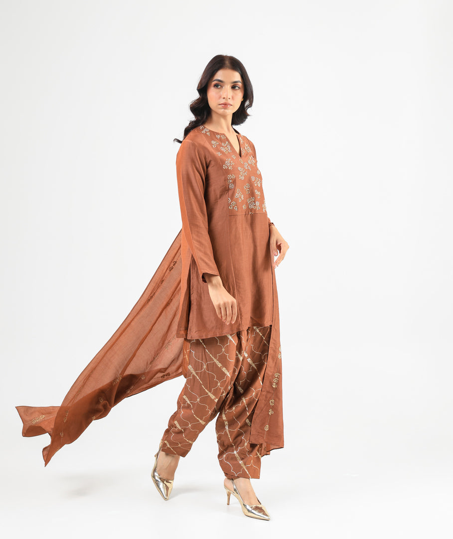 Mocha Mousse Embroidered Kurta Set with Banarasi Salwar & Embroidered Dupatta