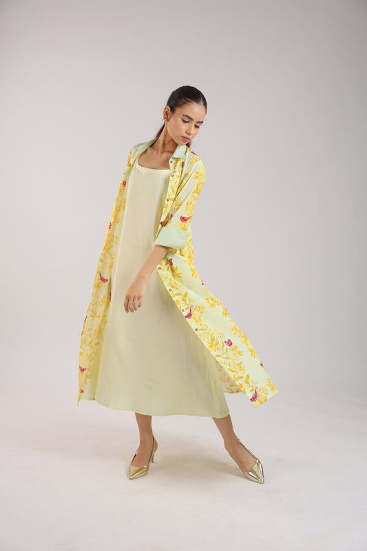 Matcha Green Shirt Dress Paired with a Slip.