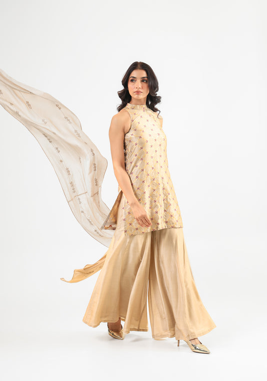 Beige Halter Banarasi Kurta Set with Embroidered Dupatta