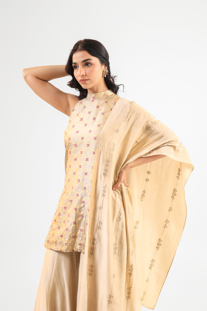 Beige Halter Banarasi Kurta Set with Embroidered Dupatta