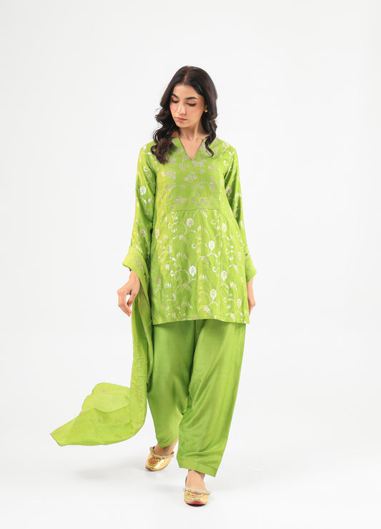 Green Banarasi Kurta Set with Embroidered neckline & Dupatta