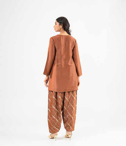 Mocha Mousse Embroidered Kurta Set with Banarasi Salwar & Embroidered Dupatta
