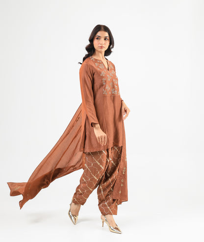Mocha Mousse Embroidered Kurta Set with Banarasi Salwar & Embroidered Dupatta