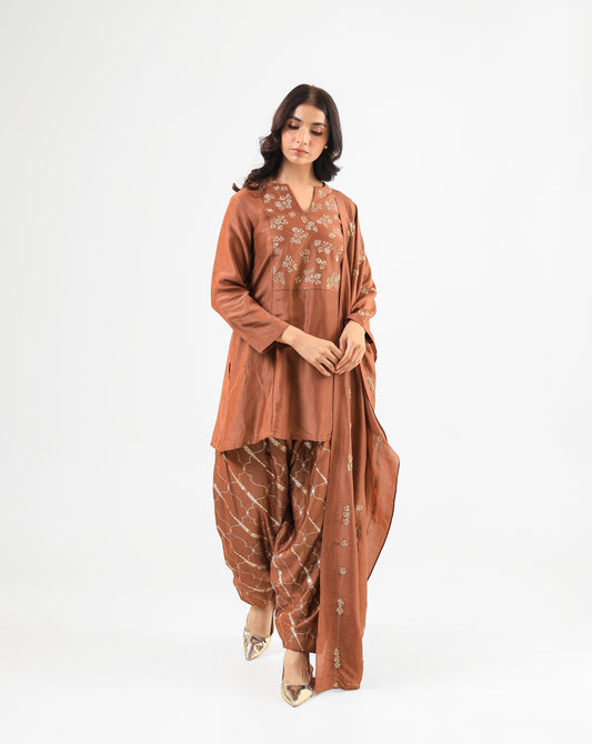 Mocha Mousse Embroidered Kurta Set with Banarasi Salwar & Embroidered Dupatta