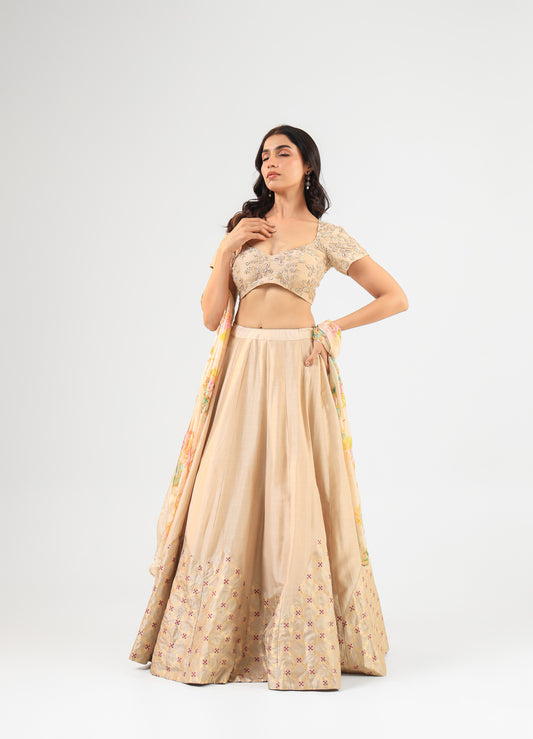 Beige Embroidered Blouse with Banarasi Detailed Lehenga Set and Organza Dupatta