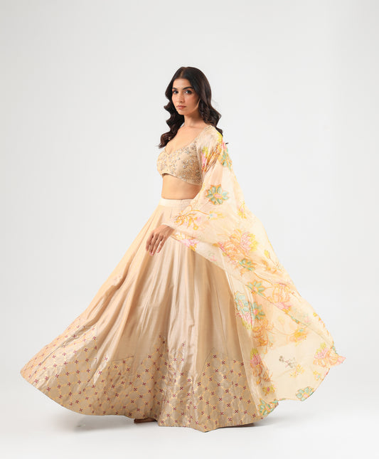 Beige Embroidered Blouse with Banarasi Detailed Lehenga Set and Organza Dupatta