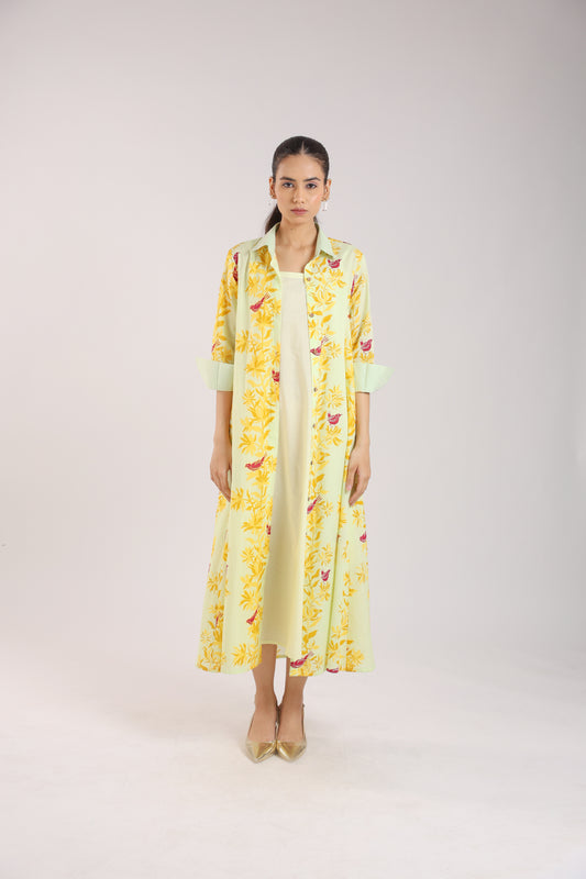 Matcha Green Shirt Dress Paired with a Slip.