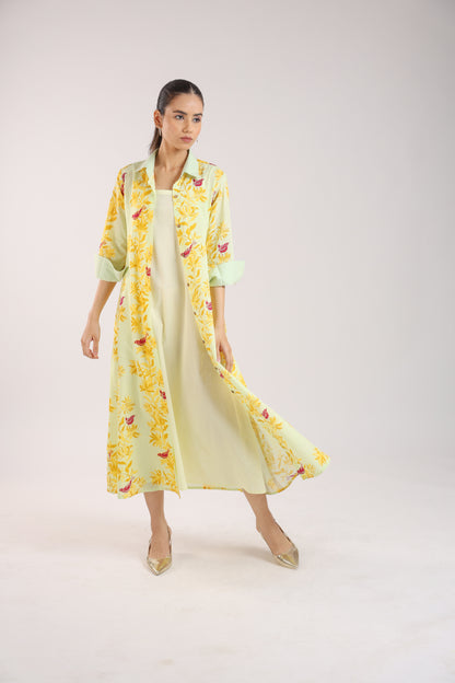 Matcha Green Shirt Dress Paired with a Slip.