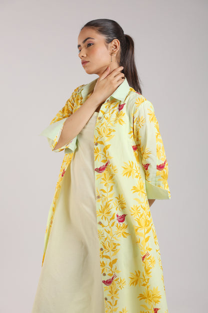 Matcha Green Shirt Dress Paired with a Slip.